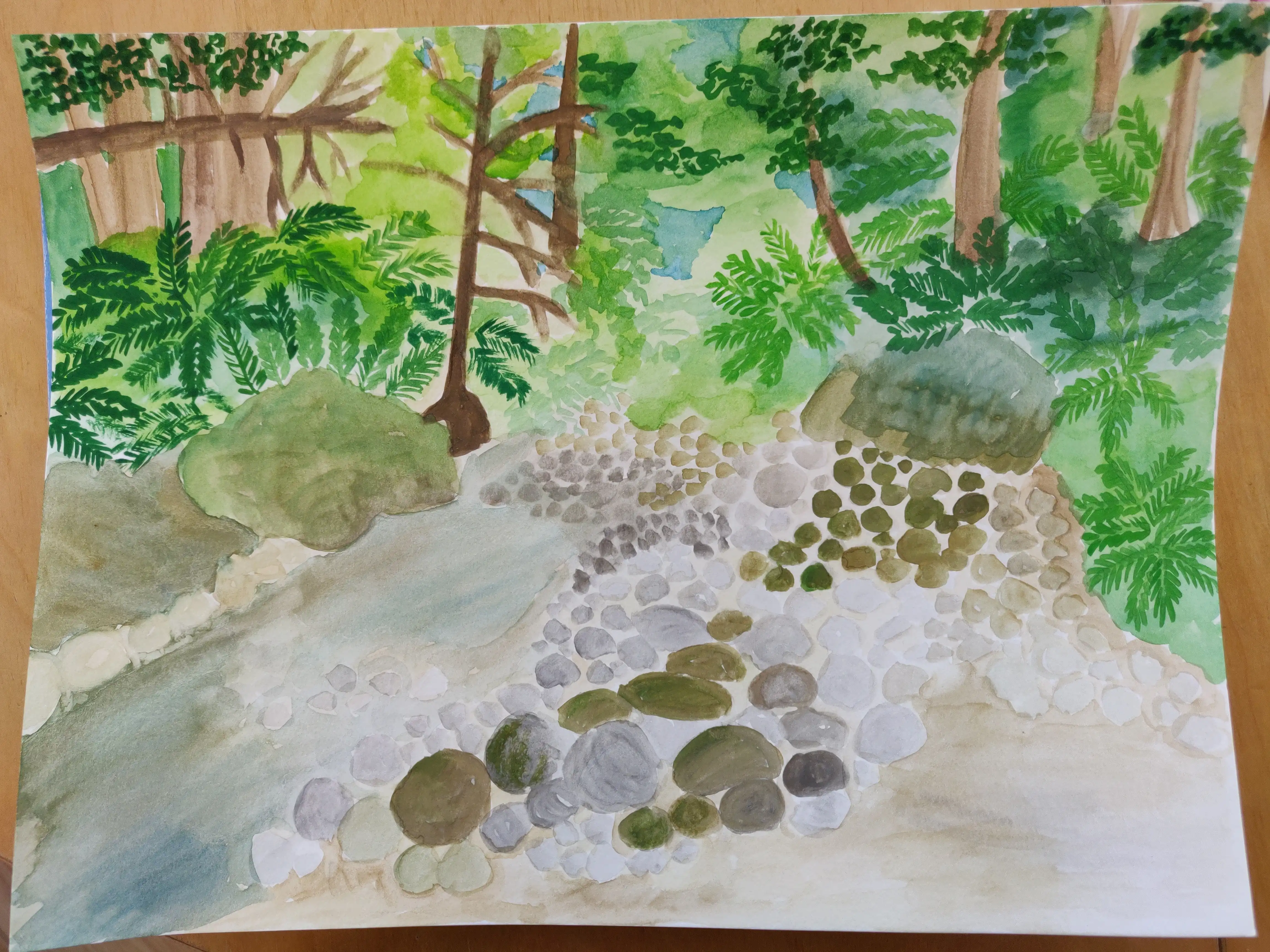 Watercolor painting of water running through rocks, surrounded by redwood trees at the creek in Nisene Marks State Park, on Amah Mutsun land. Art by Yan-Yin K. Choy